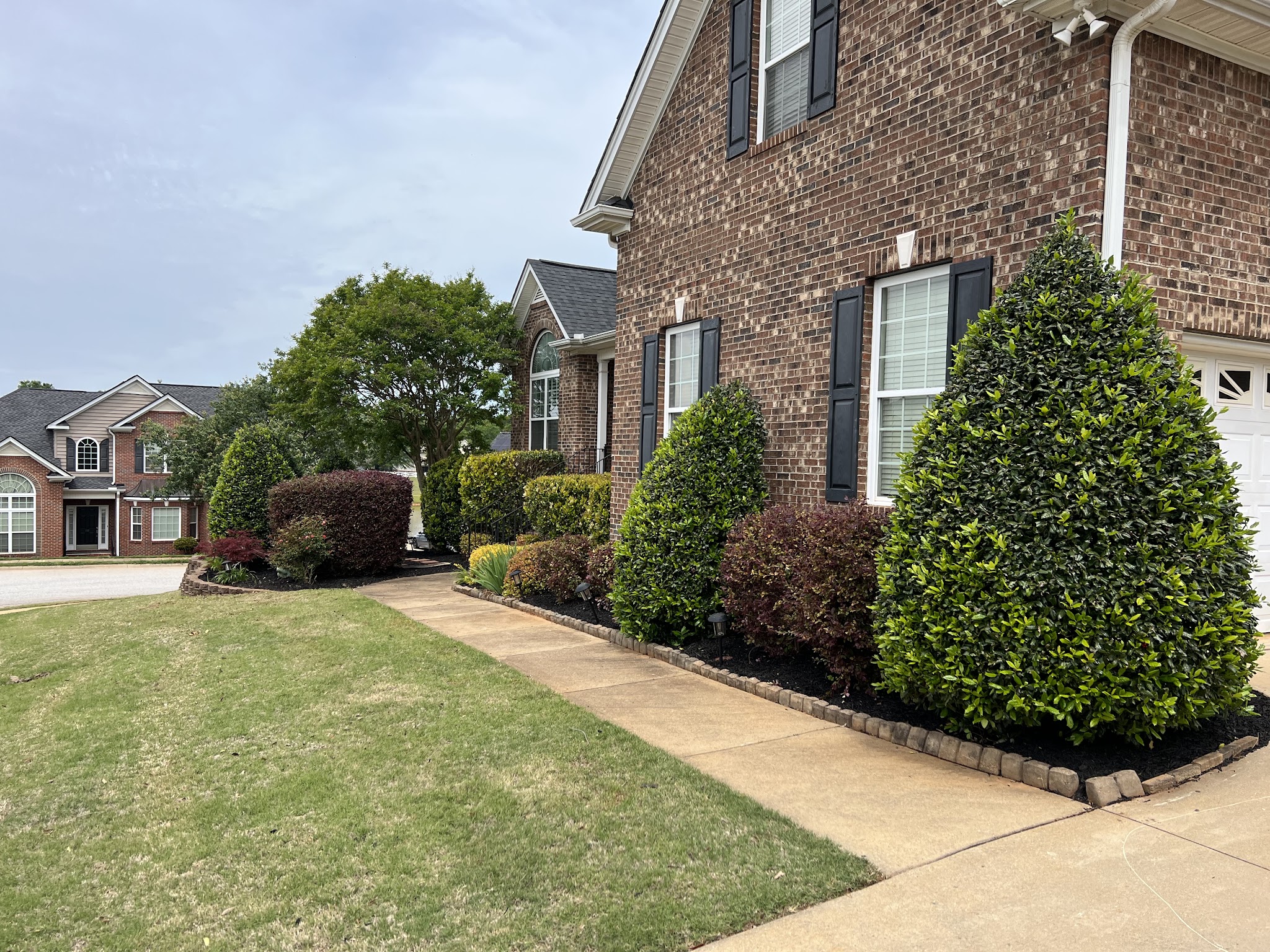 Trimmed shrubs along a brick home